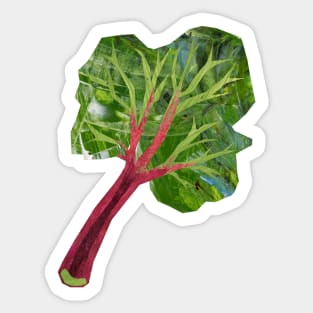 Rhubarb Sticker